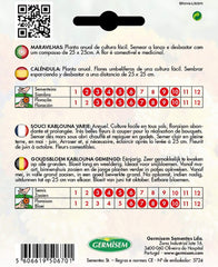 Morgenfruer, flerfarvet, EC1507