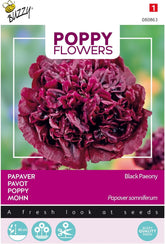 Blomster af Buzzy Poppy, Black Poppy Paeony