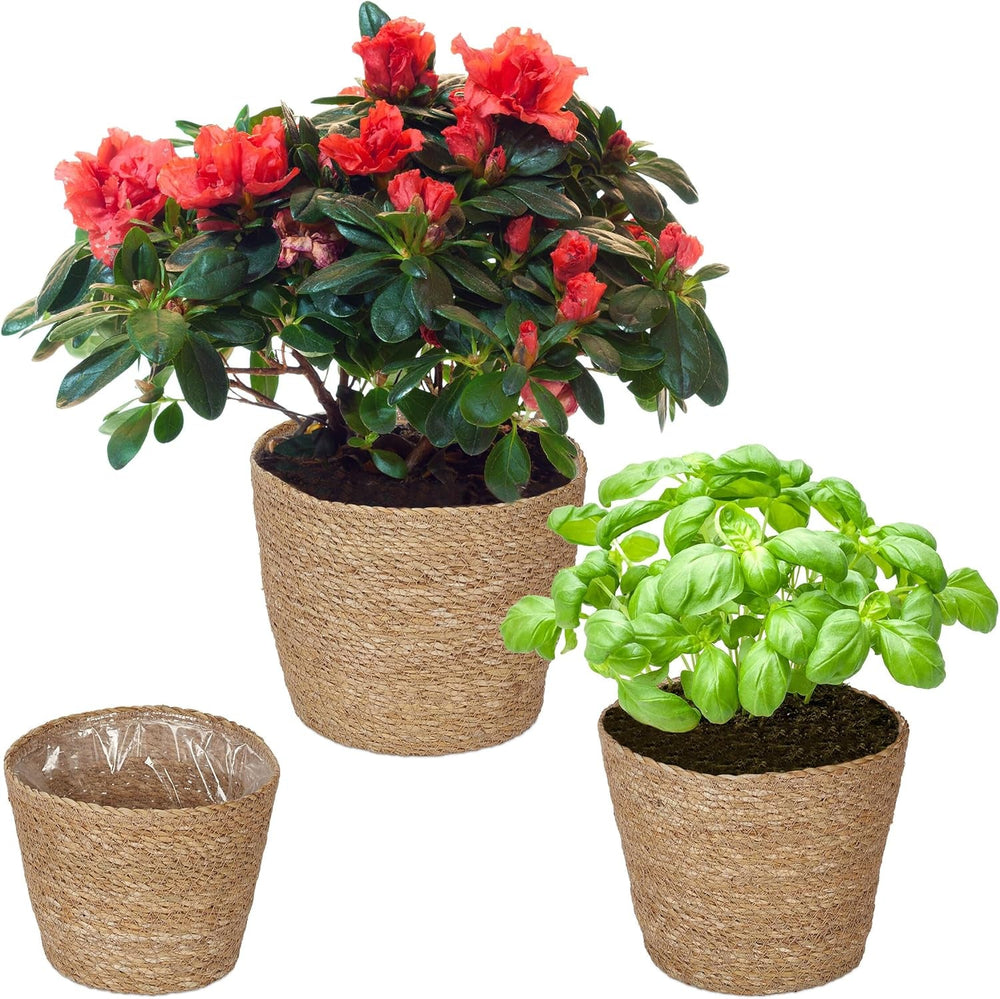 Ghiveci de flori Relaxdays din iarbă de mare, set de 3, rotund, pentru flori și ierburi, coș de plante cu folie, 3 dimensiuni, jardinieră, naturală