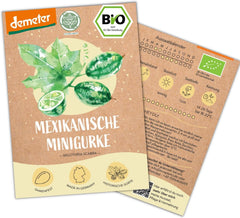 Økologiske mini mexicanske agurkfrø, 10 snacksagurkfrø, høj spireevne, Demeter-certificeret og åbent bestøvet | LOVEPLANTS Balkon Have Højbed Grøntsagsfrø - Heirloom Grøntsagssorter