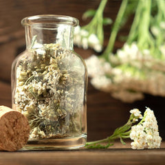 Tefrøsæt: 8 sorter af frø til altan og have - mynte, kamille, anis, brændenælde, malve - plantefrø - te - tekasse - Egendyrkede planter