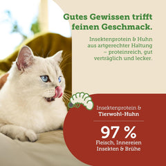 MERA Cats Nature Insekt Premium Katzenfutter Nass 12x85g | ohne Zucker und Getreide| Nachhaltig & mit viel Insektenprotein | Adult Katzennassfutter