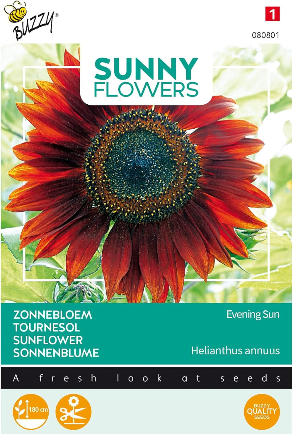 Solrige blomster, solsikker, aftensol