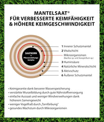 Dehner Saatgut Rasen-Nachsaat, Trockenrasen, Hochwertige Saatgutmischung, Raschwüchsig/Schnellkeimend, 300 G, Für Ca. 25 M², Natur