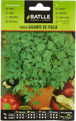 Batlle Kräutersamen - Petersilie Italienisch (Samen - 35Cm)