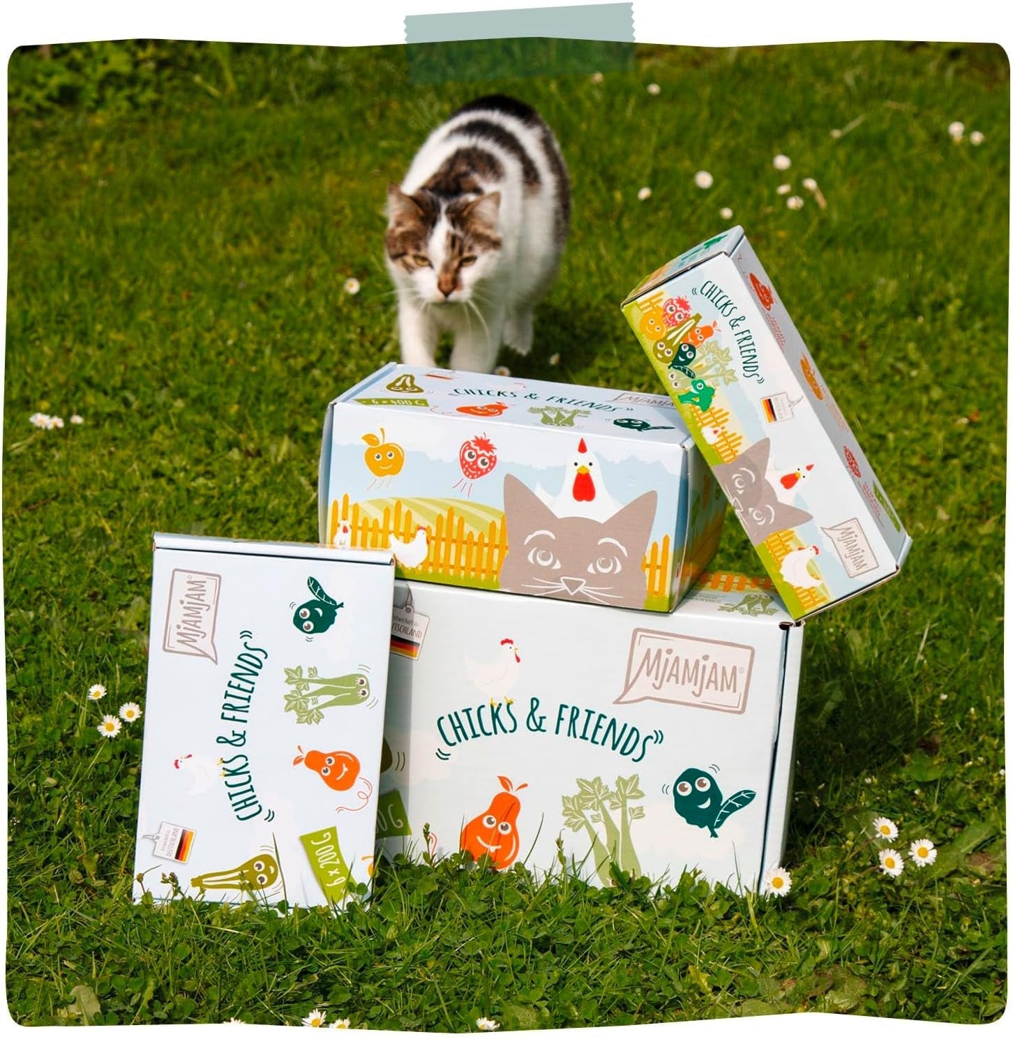 Mjamjam - Hrană umedă premium pentru pisici - Chicks & Friends Box, 9 pachete (9 X 300G), fără cereale și cu carne suplimentară