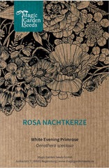 Rosa Nachtkerze (Oenothera Speciosa) Ca. 300 Samen Der Mehrjährigen Staude Steingartenpflanze Präriepflanze Blume Bienenweide