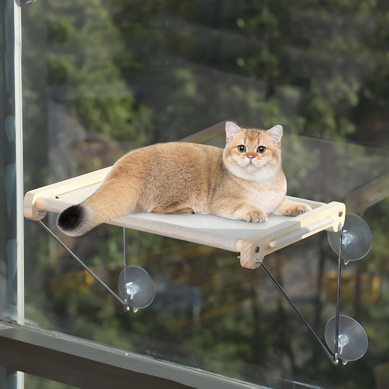 Pat pentru pisici la fereastră, șezlong pentru pisici cu o capacitate de încărcare de până la 18 kg, hamac pentru pisici, șezlong de perete pentru pisici, platformă pentru pisici, raft pentru pisici pentru dormit, joacă, cățărat și relaxare