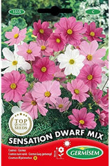 Smykkekurv, flerfarvet, EC1515