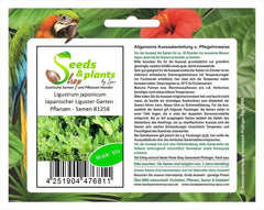Stk - 10X Ligustrum Japonicum Japanischer Liguster Garten Pflanzen - Samen B1258 -