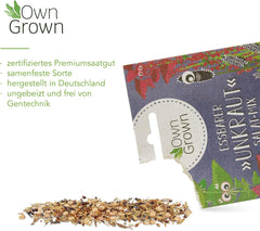 Wildkräuter Samen: Bunte Premium Kräuter Samen Mischung mit Löwenzahn Samen, Sauerampfer, Spitzwegerich uvm – Unkraut Samen Mix für Garten, Balkon – Kräuter Pflanzen Saatgut alte Sorten von OwnGrown