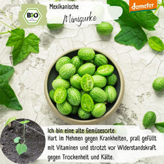 Økologiske mini mexicanske agurkfrø, 10 snacksagurkfrø, høj spireevne, Demeter-certificeret og åbent bestøvet | LOVEPLANTS Balkon Have Højbed Grøntsagsfrø - Heirloom Grøntsagssorter