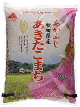 Sushi ris, Akita Komaki