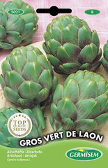 Artischocke VERT DE LAON, Mehrfarbig, EC5021
