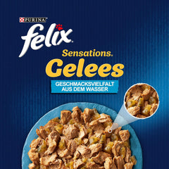 Felix Sensations Hrană umedă pentru pisici în jeleu, mix variat de pește, pachet de 6 (6 x 12 pliculețe a câte 85 g fiecare)
