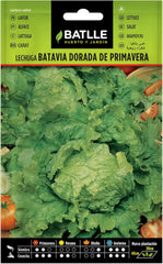 Batlle Gemüsesamen - Frühlings Kopfsalat Dorada De Primavera (6400 Samen)