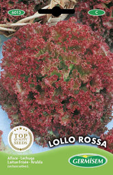 Gartensalat LOLLO ROSSA, Mehrfarbig, EC6013