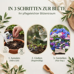 Kornblumen Samen (Centaurea Cyanus) - Wunderschön Leuchtende Blumen Mit Langer Blütezeit, Kleinwüchsig - Ideal Für Den Balkonkasten (Mini Mix, 1000 Korn, 50 Cm)