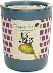 Feel Green Message Bean, Naturdose Mit Lasergravierter Glücksbohne"Best Wishes", Nachhaltige Geschenkidee, 100% Eco Friendly, Anzuchtset, Made in Austria