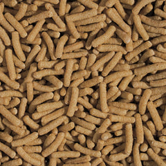 Hvedekim og hvidløgsstænger KOI&Goldfish 5L / 430g - Dammfiskefoder til daglig fodring af koi fisk i et bredt temperaturområde fra 8 til 30°C