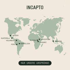 Selecție de boabe de cafea Incapto la nivel mondial | Selecție de 10 origini din întreaga lume | Cafea de specialitate | 100% Arabica | Ideal ca set cadou de cafea | Pentru iubitorii de cafea | 10 pachete x 100g