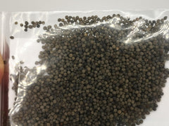 1000 californiske valmuefrø (Eschscholzia californica), vildblomsteng, bi-græsgang.