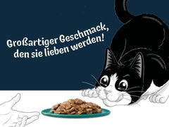 Felix Delicious Hrană umedă feliată pentru pisici în jeleu, varietate de arome de la apă, pachet de 6 (6 x 10 pliculețe a câte 80g fiecare)