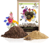 Samenbomben Selber Machen Für Eine Bunte Bienenweide - Bienenfreundlicher Seedbomb Bausatz Für 20-30 Seedbombs