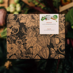 Magic Garden Seeds - Alte Erdbeersorten - Samen Geschenk Set Mit 3 Traditionellen, Köstlichen Sorten - Anzuchtset Mit Weißer Erdbeere, Roter Monatserdbeere Und Walderdbeere