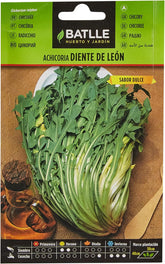 Batlle Gemüsesamen - Wild Chicoree -Radicchio Löwenzahn (4500 Samen)