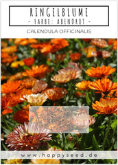 Calendula frø (Calendula officinalis) - Alsidig lægeplante med spiselige blomster og ideel til en farverig blomstereng (Abendrot)