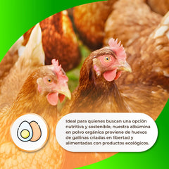 Sermand Nutrition Æg Albumin 100% Pulver Glutenfri Laktosefri