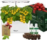 Ny 7 Bridge + Heirloom Basilikum | Smart Have til hjemmekokke | Hydroponisk dyrkningssystem | LED Grow Lights | Indendørs urtehavesæt til planteelskere og gartnere, hvid