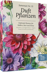 Magic Garden Seeds - Duftende plantefrøkasse - Blomstermagi til altan, blomsterbed og sanser - Gratis bestøvede frø, charmerende blomster som gaveidé til haveentusiaster