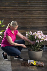 Floragard ekspanderet lergranulat 50 L - naturligt drænmateriale og hydroponisk substrat til potter, baljer, stueplanter og plantekasser - forhindrer vandophobning, sikrer god luftning