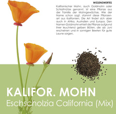 California Poppy Seed Mix (Eschscholzia californica) - Smukke blomstrende valmuer med en lang blomstringsperiode til en farverig blomstereng (California Poppy)