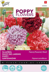 Valmueblomster Buzzy Mac Paeoniflorum Gef. Blande.