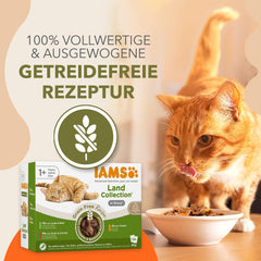 IAMS Delights Land Collection Hrană umedă pentru pisici fără cereale - Pachet multiplu cu varietăți de carne în sos, hrană umedă fără cereale pentru pisici de la 1 an, 12 x 85 g