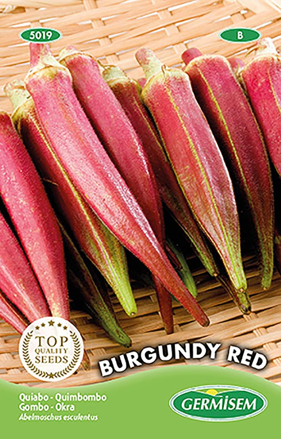 Okra BURGUNDY RED