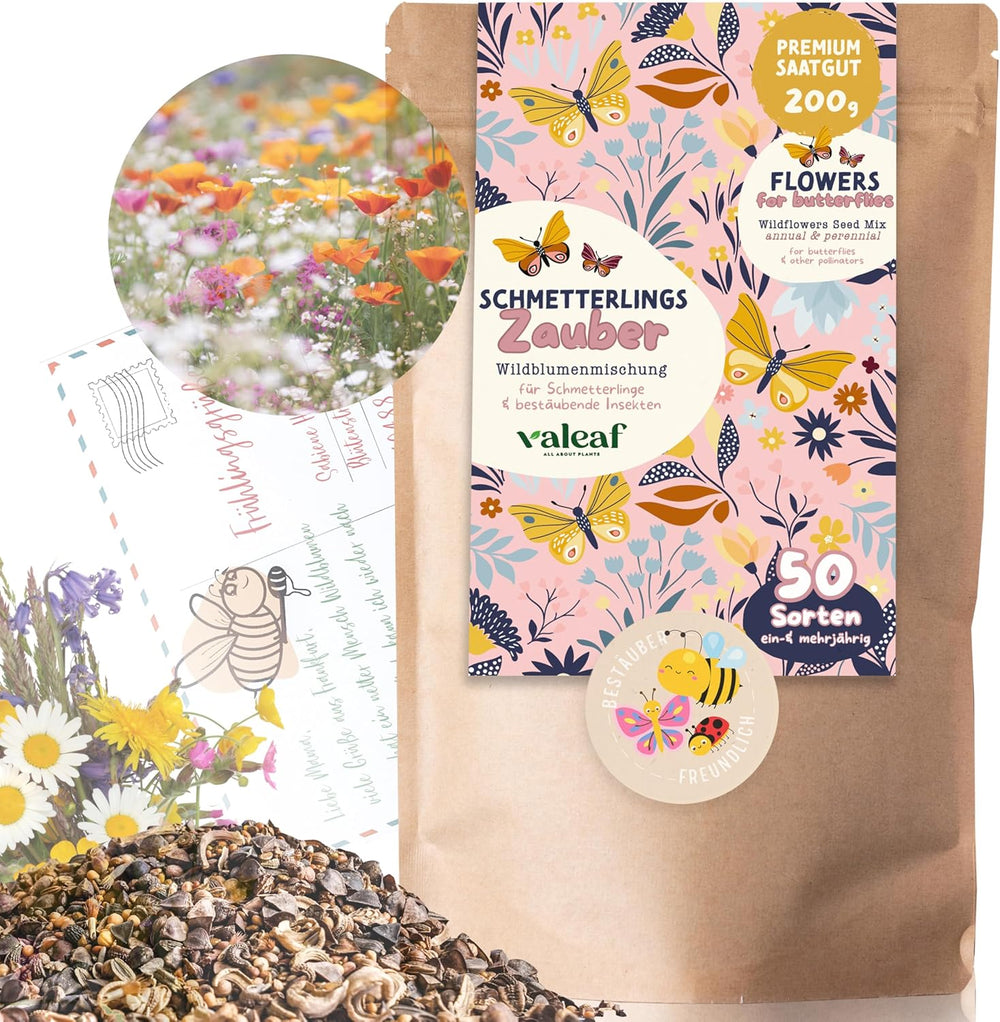 Schmetterlingswiese I 200 G I Blumenmischung Für 200 M² I Blumenwiese Samen Mehrährig Und Einjährig I Wildblumensamen Für Schmetterlinge Und Bienen I Wiesenblumen Samen