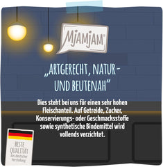 MjAMjAM - Băutură delicioasă pentru pisici - Cocktailuri - File de somon tras, pachet de 20 (20x40), fără cereale