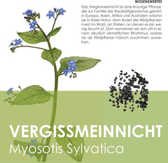 Vergissmeinnicht Samen (Myosotis) - Märchenhafte Blumen mit længere Blütezeit für das Beet, den Balkon og die Terrasse