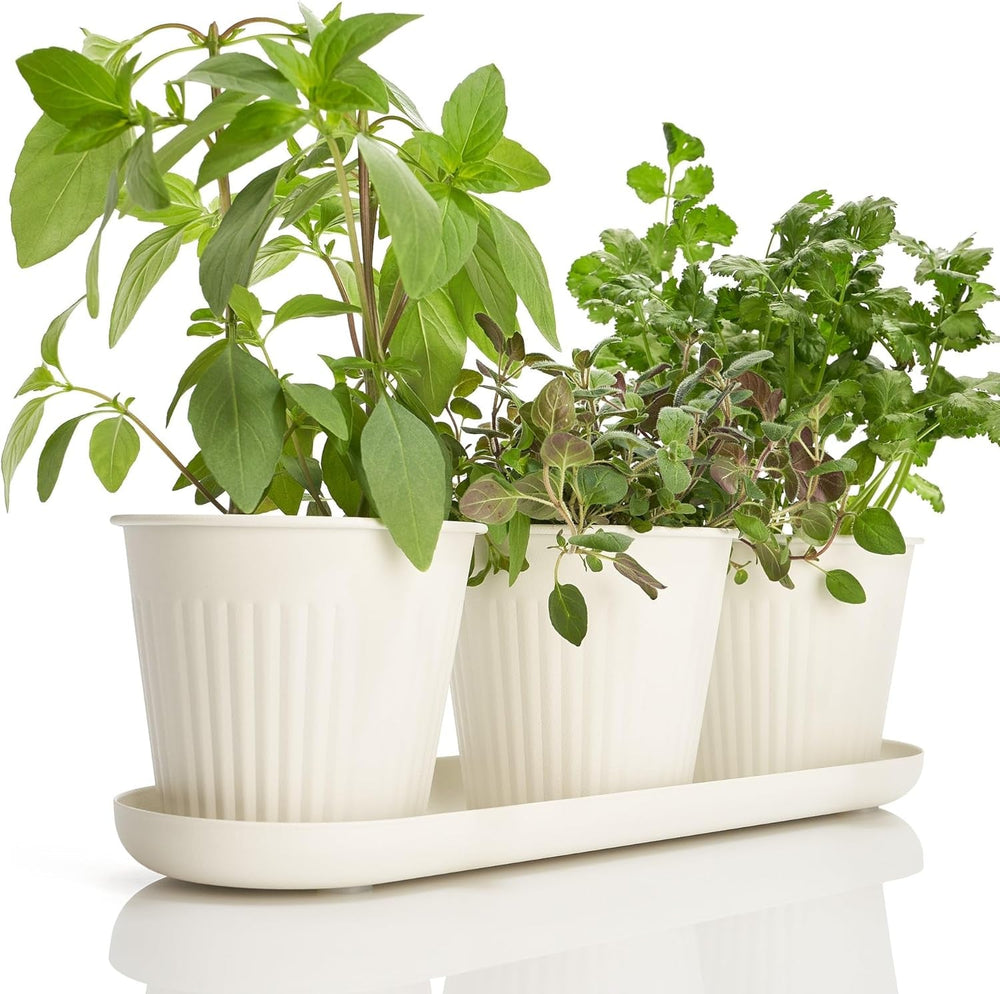 Set de 3 ghivece frumoase pentru grădină de plante aromatice, perfecte pentru orice pervaz sau blat de bucătărie, un set modern de ghivece decorative pentru grădină, inclusiv tavă și...