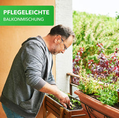 Magic of Nature Balcony Box Mix - 10 g frø - Bivenlige planter - Nem at bruge - Bee Paradise - 5 indfødte dyrkede arter - Velegnet til blomsterkasser og plantekasser