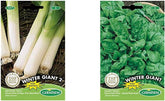 Lauch WINTER GIANT, Mehrfarbig, EC1017 & Spinat WINTER GIANT, Mehrfarbig, EC7020