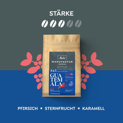 Melitta Manufaktur-Kaffee Guatemala honning, specialkaffe, 250 g, hele kaffebønner, umalet, enkelt oprindelseskaffe, delikat tromleristet, ristet i Tyskland, Strength 3 Coffee Naty Shop