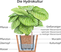 Dehner Planteler, 10 l, 4/8 mm korn, universel størrelse