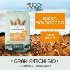 Økologisk Penne Rigate Pasta N.91 - 500 g fedtfattig hvedepasta - Kilde til fibre og protein