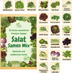 Salatfrøblanding - 20 sorters sæt - Hurtig høst, skæring og vintersalater - 100 % naturlig - Ingen vækststimulerende midler - pakket med kærlighed - Indeholder instruktioner og individuel mærkning