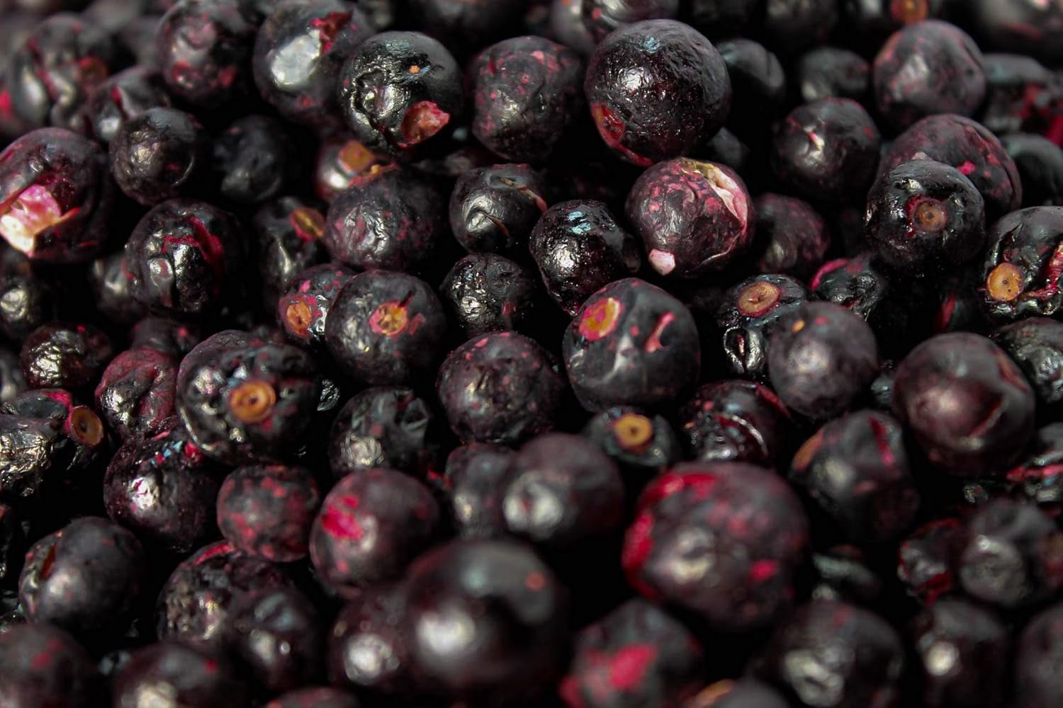 Coacăze negre liofilizate 250g - Fructe liofilizate - Fructe uscate liofilizate - Coacăze negre uscate pentru coacere, muesli, decorarea prăjiturilor, deserturi Produse deshidratate Naty Shop